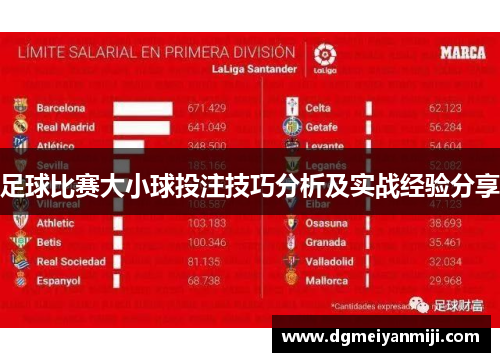足球比赛大小球投注技巧分析及实战经验分享